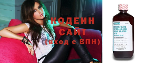 прущие грибы Елабуга