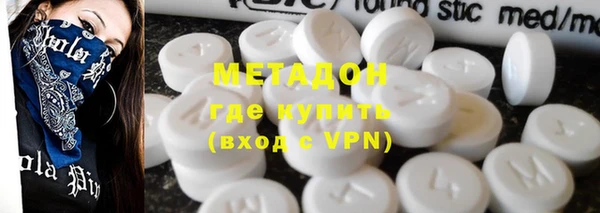 прущие грибы Елабуга