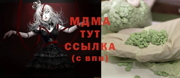 прущие грибы Елабуга