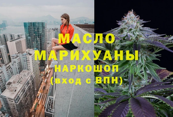 дмт Елизово