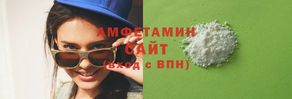прущие грибы Елабуга