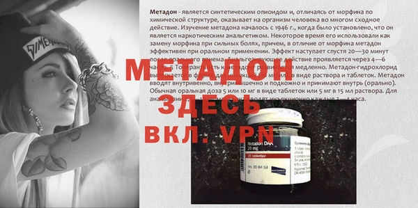 прущие грибы Елабуга
