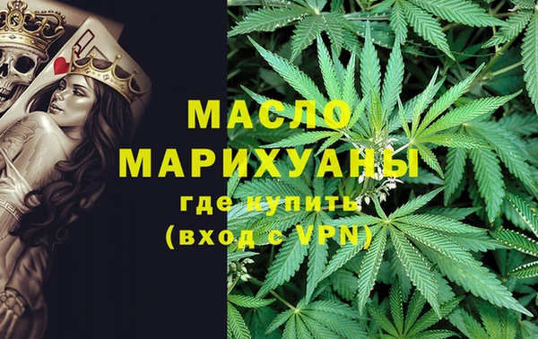 прущие грибы Елабуга