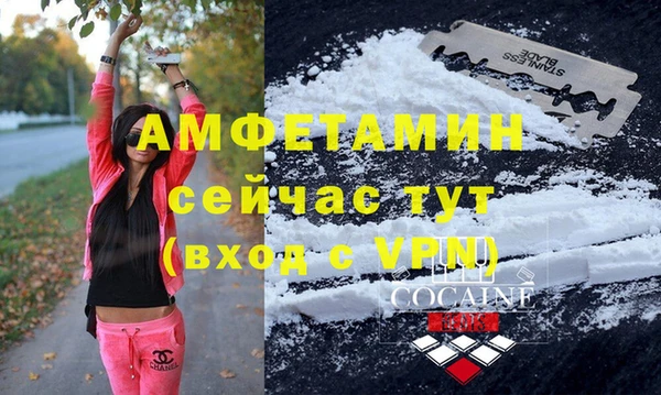 прущие грибы Елабуга