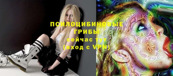 дмт Елизово