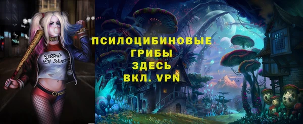 дмт Елизово