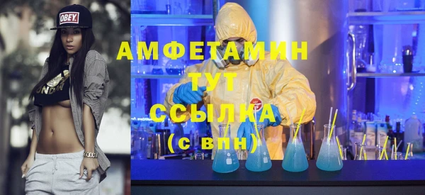 прущие грибы Елабуга