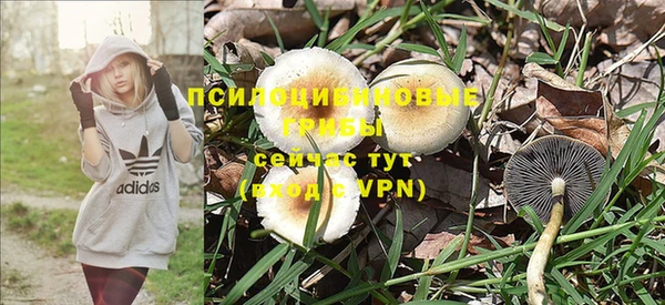 дмт Елизово