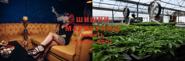 дмт Елизово