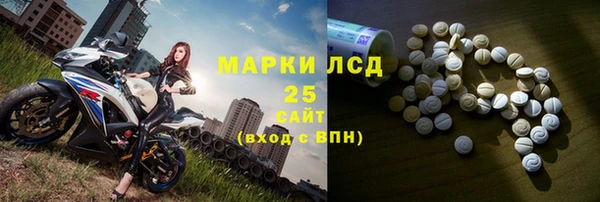 прущие грибы Елабуга
