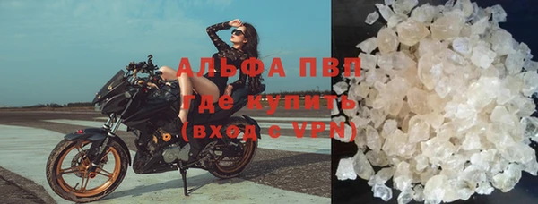 прущие грибы Елабуга