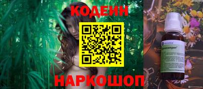 шишки Кимры