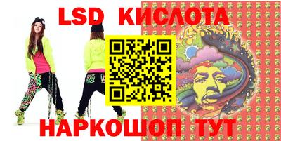 стафф Кингисепп