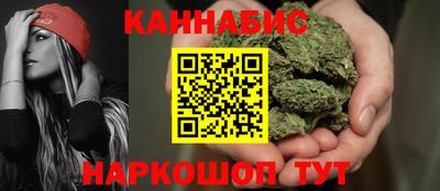 шишки Кимры