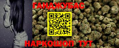 стафф Кингисепп