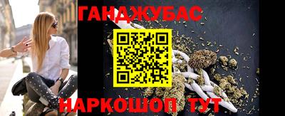 стафф Кингисепп