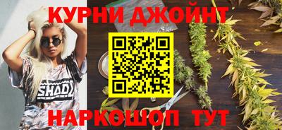 шишки Кимры