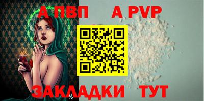 стафф Кингисепп