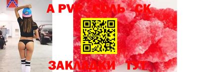 стафф Кингисепп