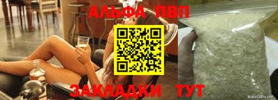стафф Кингисепп