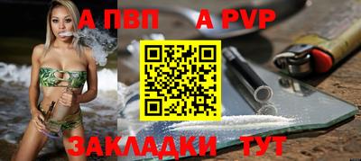 стафф Кингисепп