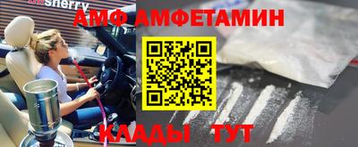 шишки Кимры