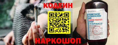 стафф Кингисепп