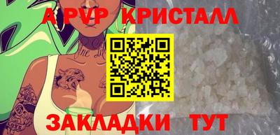 шишки Кимры