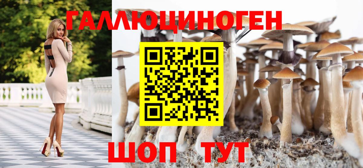 Псилоцибиновые грибы Magic Shrooms Усинск